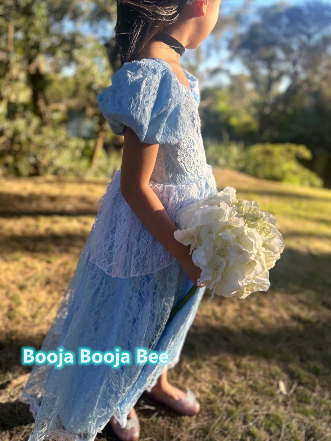 Cinderella Princess Floral Lace Dress, Girls birthday costume