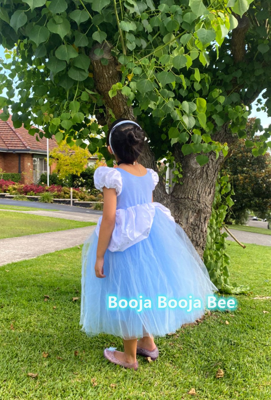 Cinderella princess costume dress, girls birthday gift, Fairy tale attire gown, aged 2-7