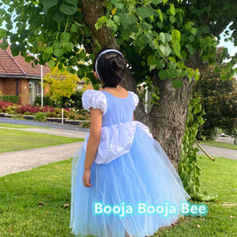 Cinderella princess costume dress, girls birthday gift, Fairy tale attire gown, aged 2-7