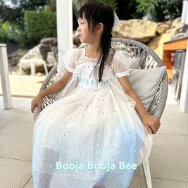 Frozen Princess Elsa ombre puff sleeves dress, Girls birthday queen party sequins tulle