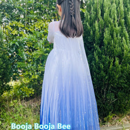 Disney themed party Elsa costumes for kids 3-8, Frozen 2 Elsa birthday princess dress