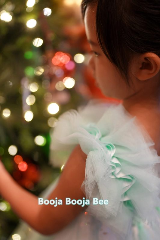 Frozen Elsa Green Mint tutu dress, Party Queen dress