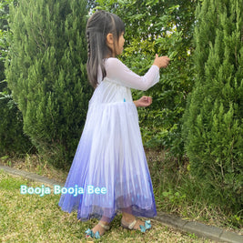 Disney themed party Elsa costumes for kids 3-8, Frozen 2 Elsa birthday princess dress